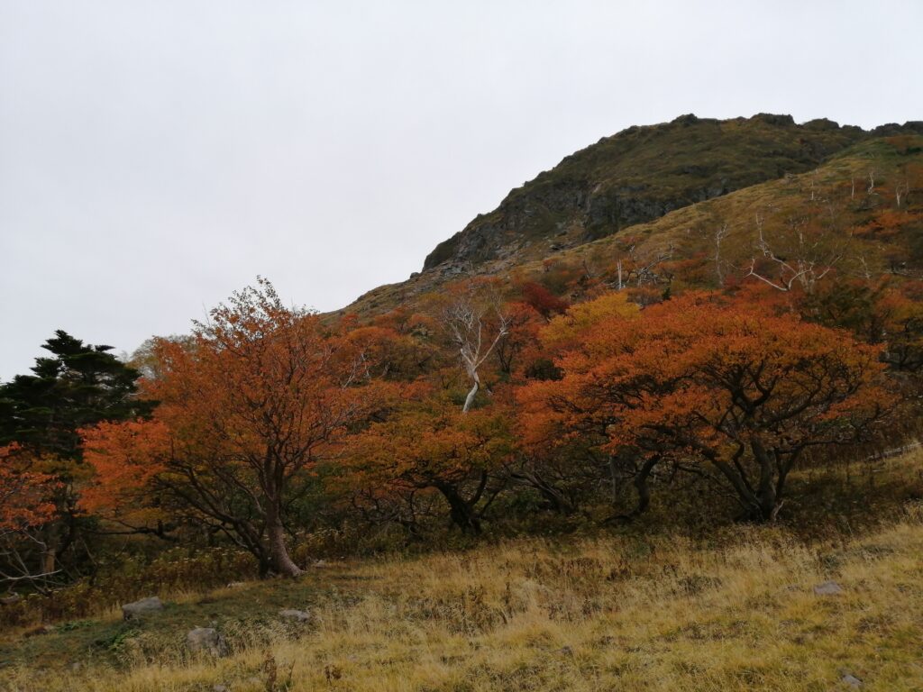 Color tardorencs a prop del llac Goshikinuma