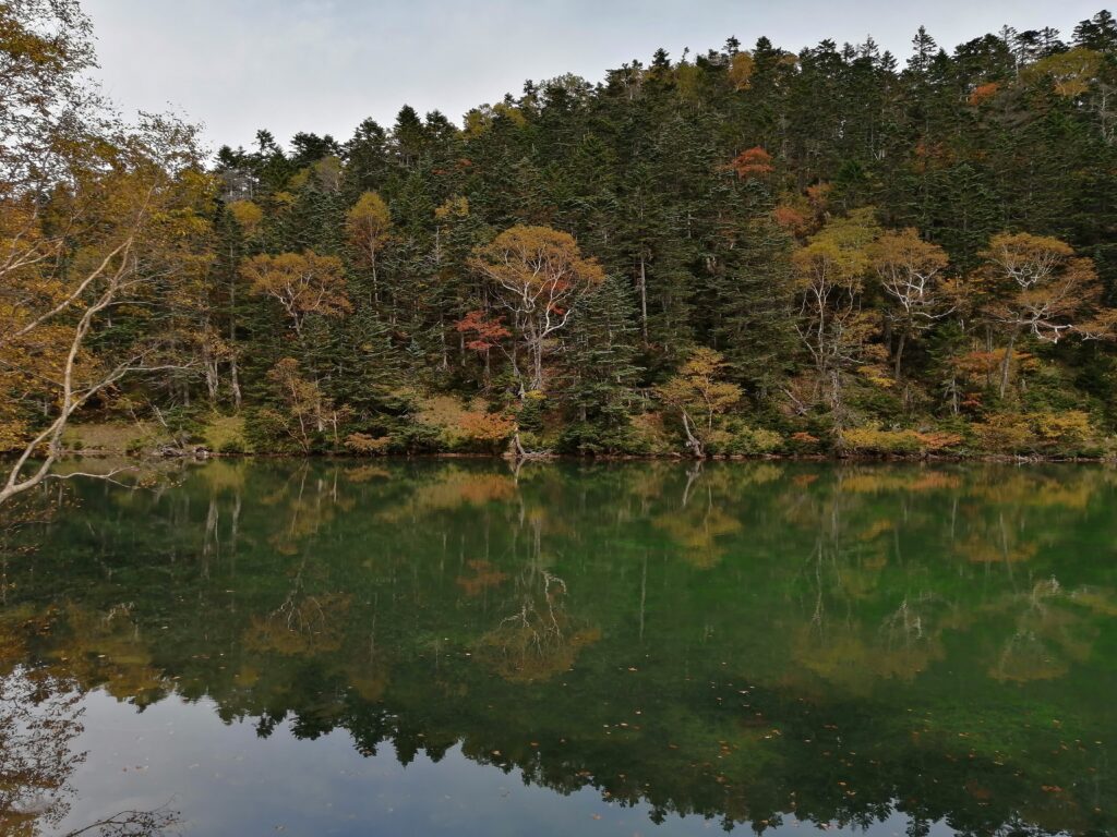 Reflexions a l'estany de Midagaike