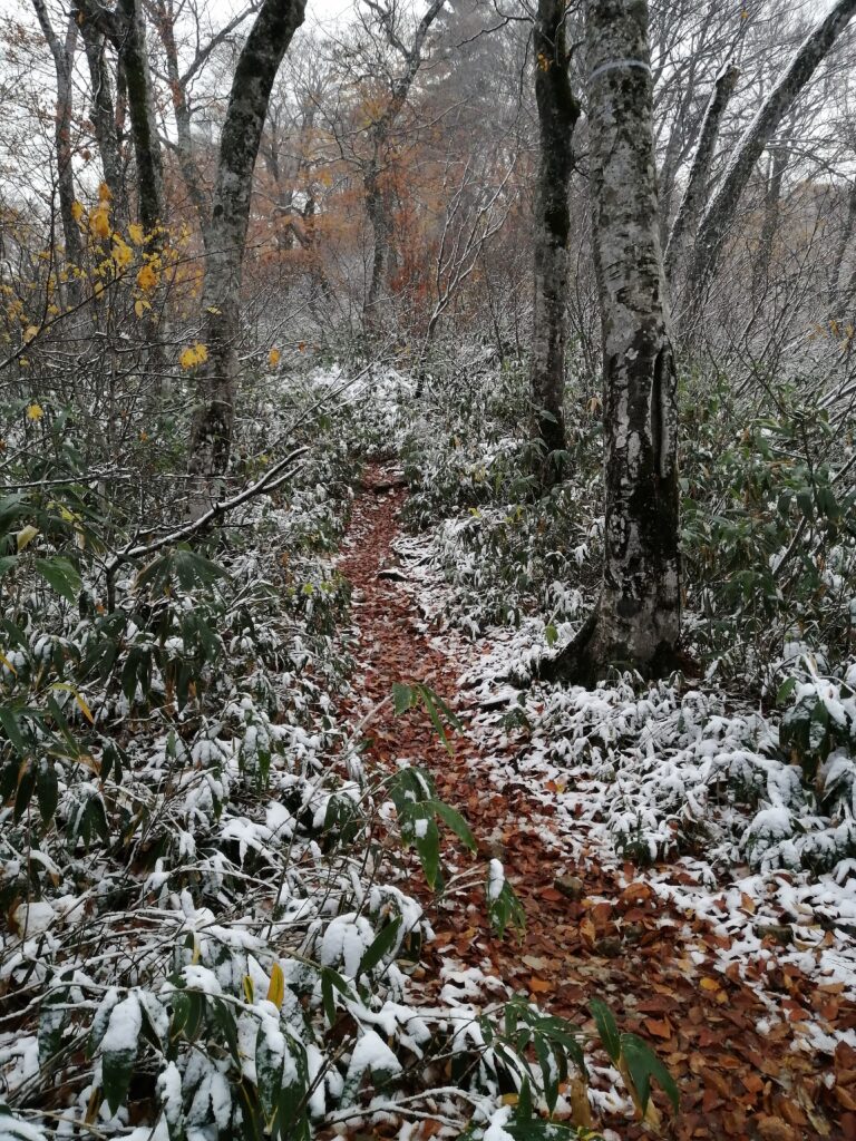 Primers neus al camí d'Aizu