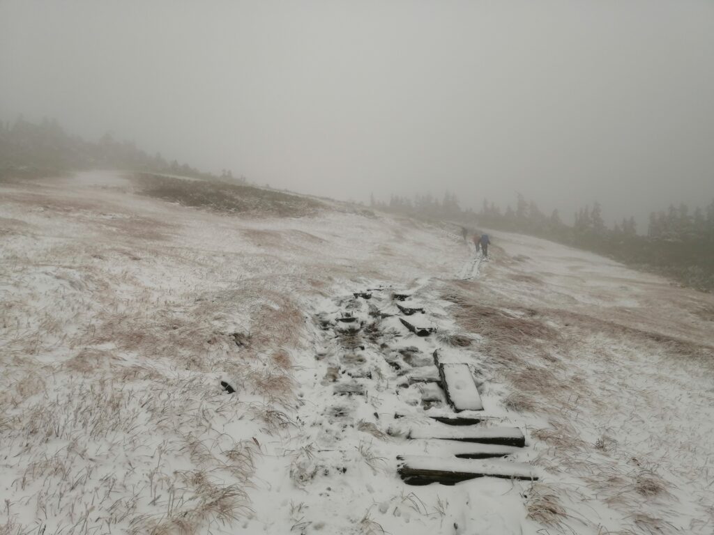 Camí de fusta als aiguamolls d'Aizu, tot nevat