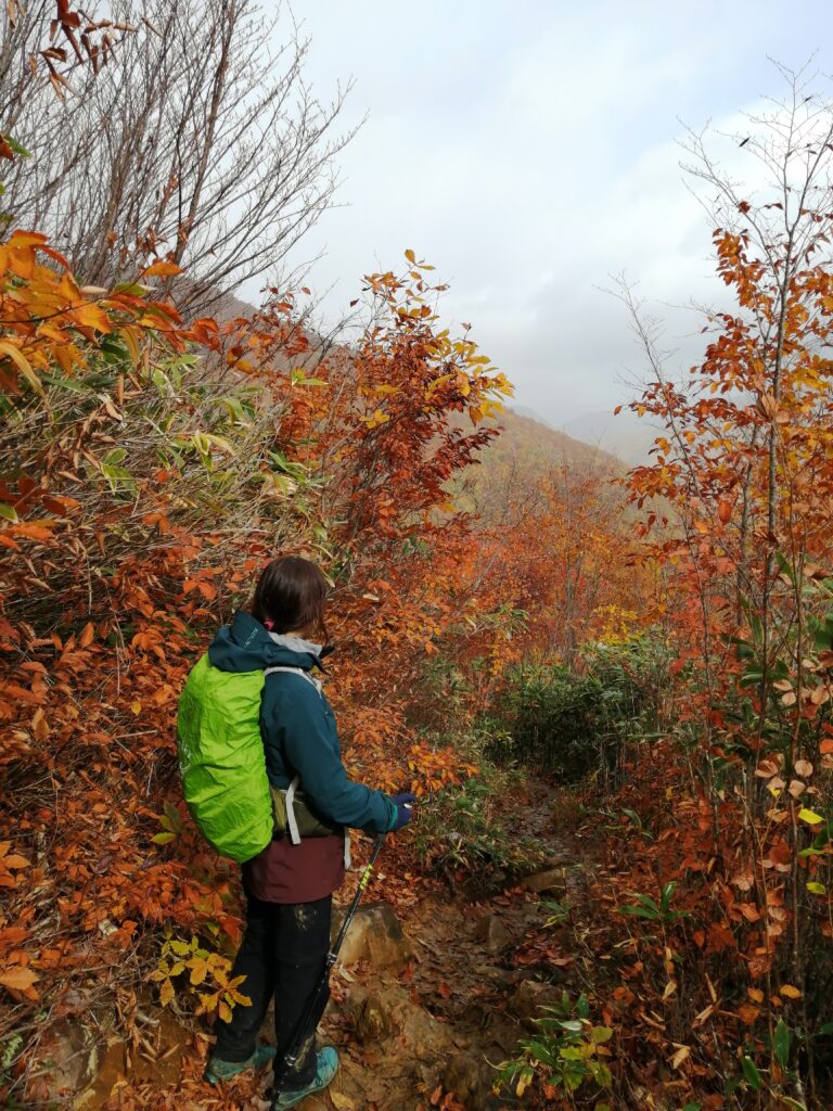 Colors tardorencs al camí d'Aizu-Komagatake
