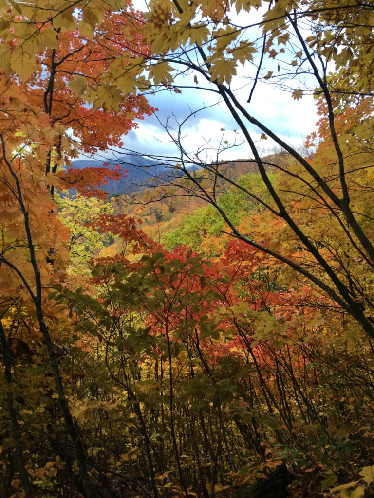 Colors tardorencs de camí a Aizu-Komagatake