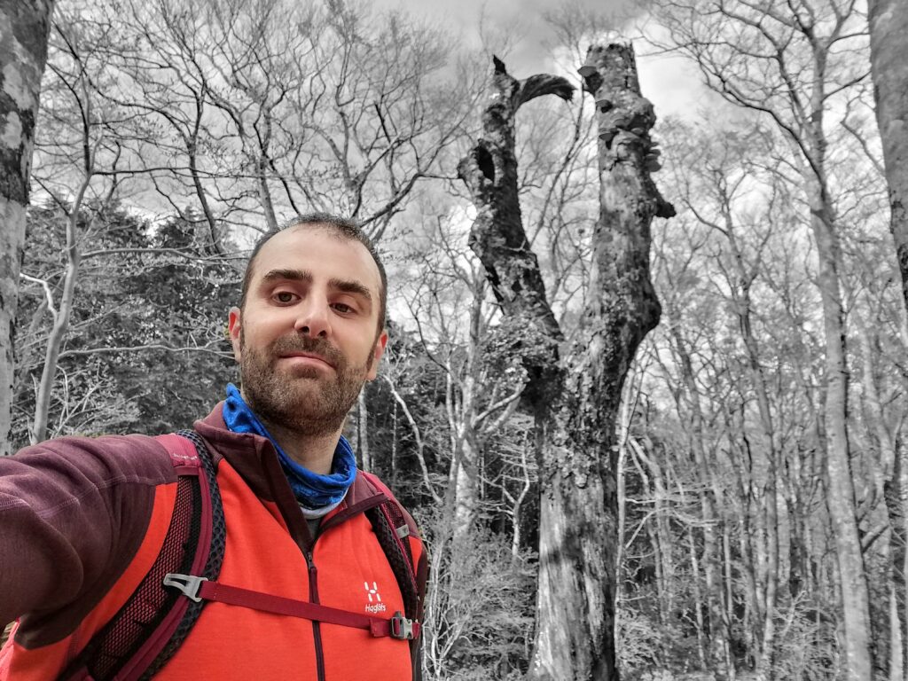 Foto amb un arbre de forma curiosa, a Amagi.