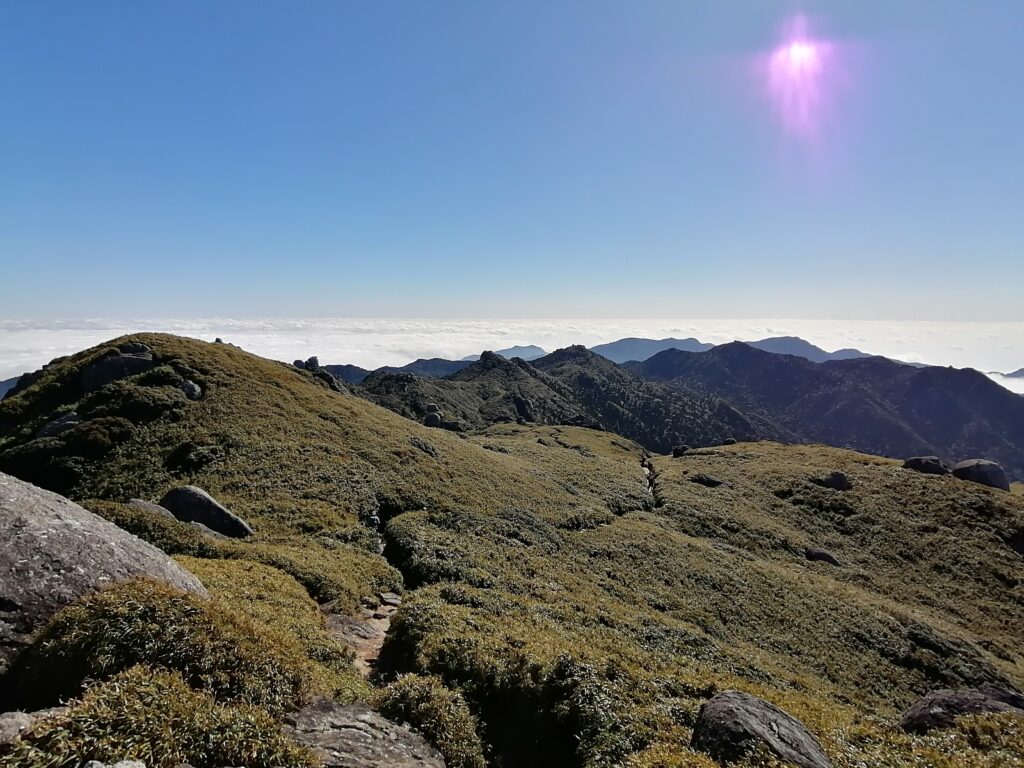 El camí cap a Miyanoura, vist des del cim
