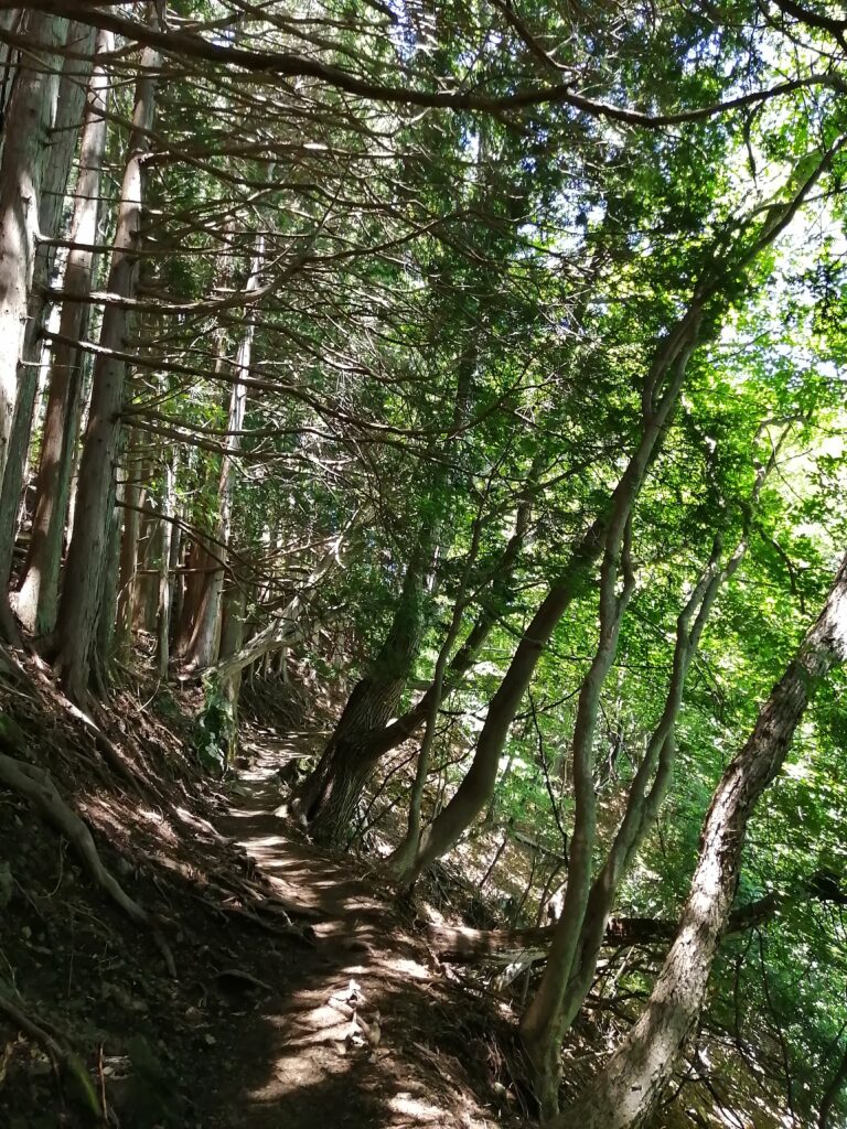 Camí cap a Kumotori, primeres etapes
