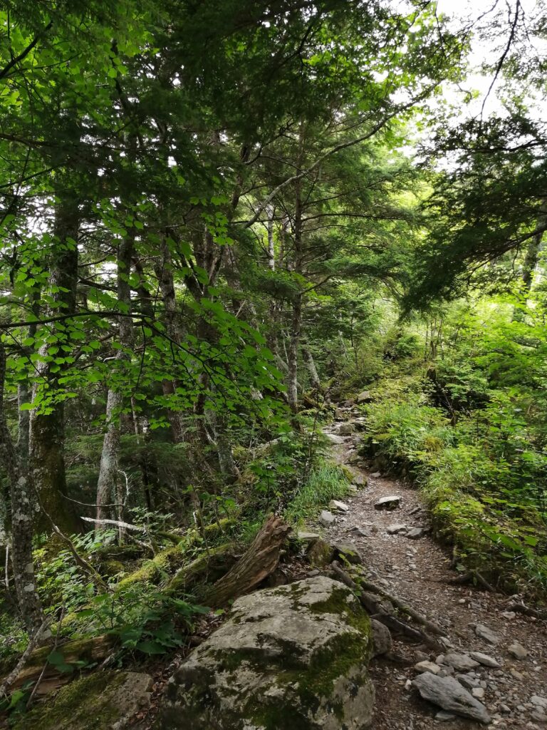 Una part del camí a Kitadake