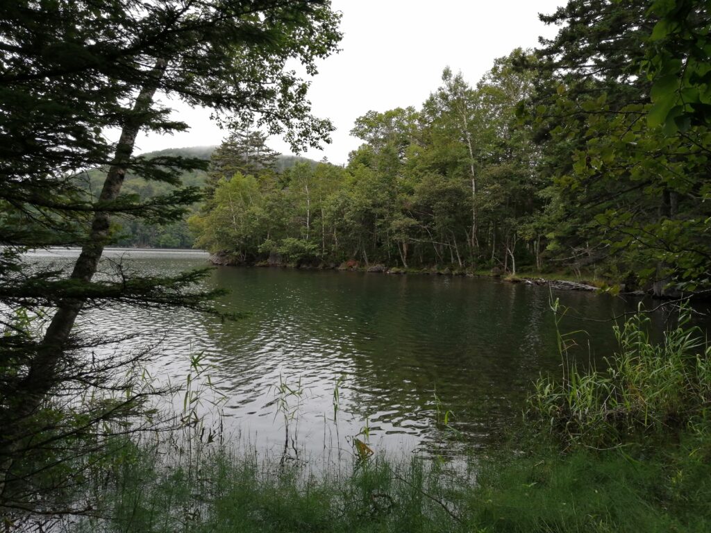 Vista del llac Onetto, de camí a Meakan