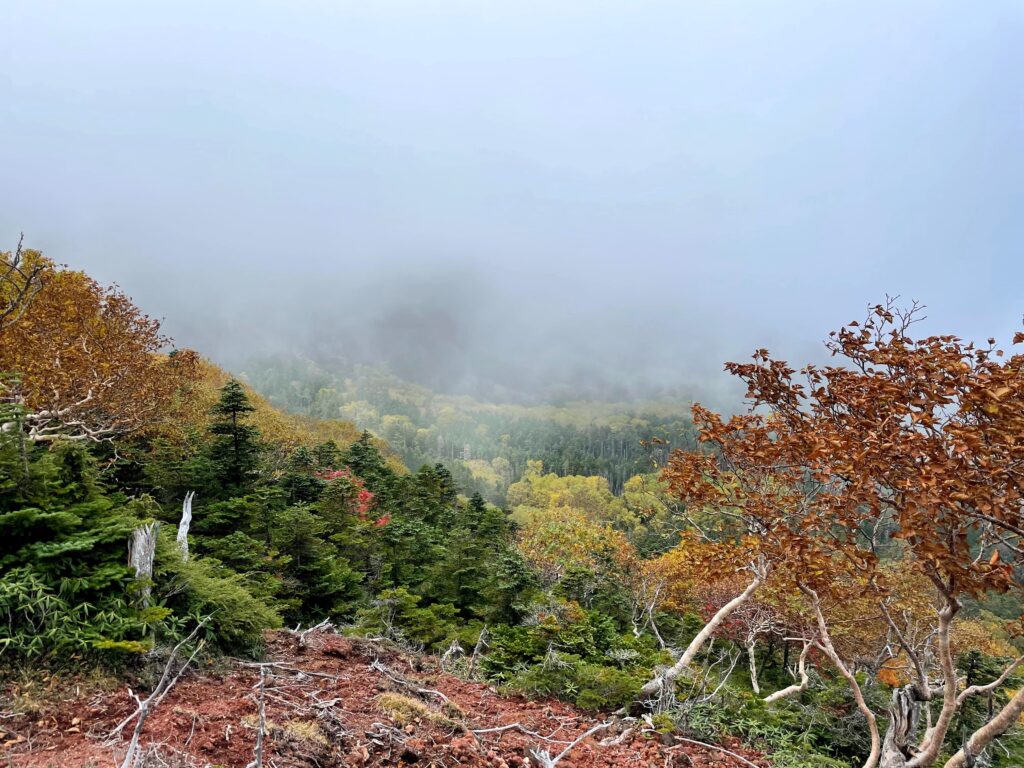Colors tardorencs al descent del mont Nantai