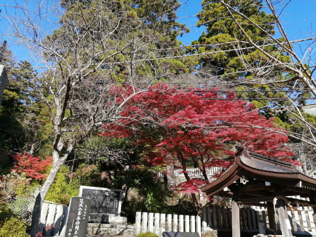 Colors de tardor al santuari
