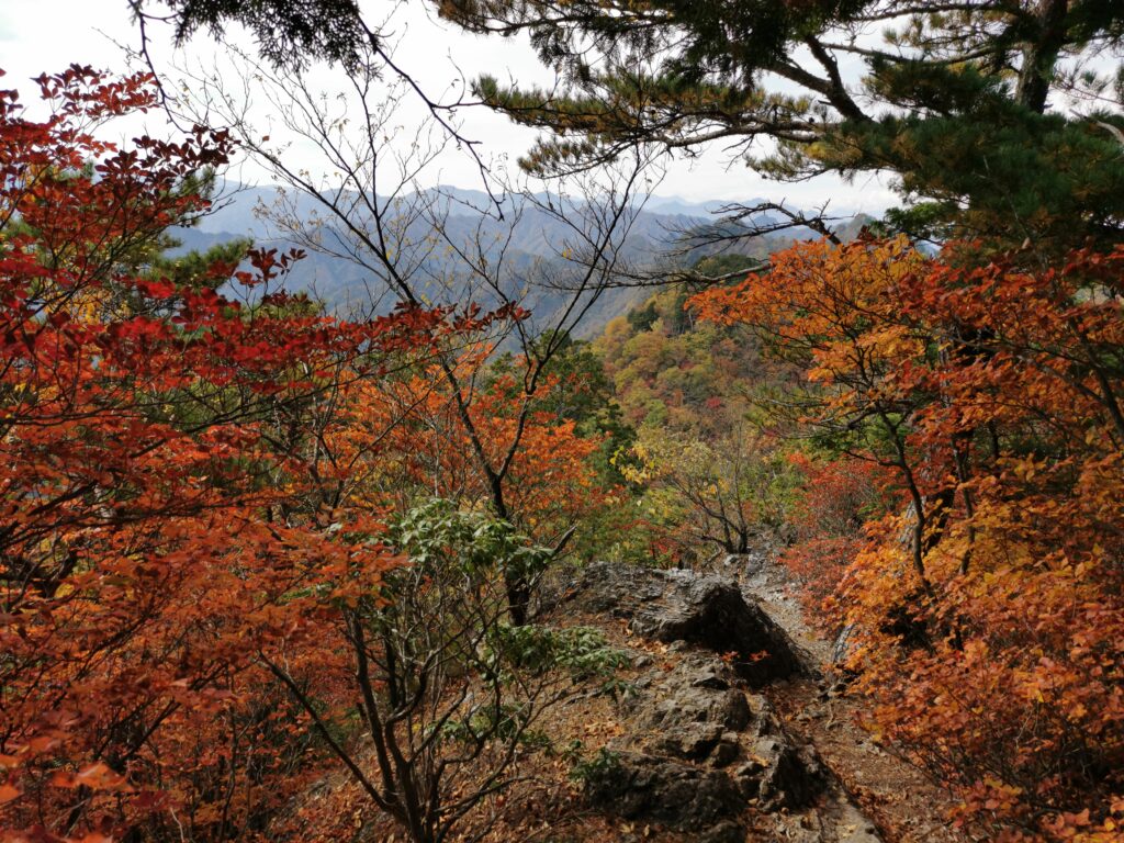 Colors tardorencs a Ryokami