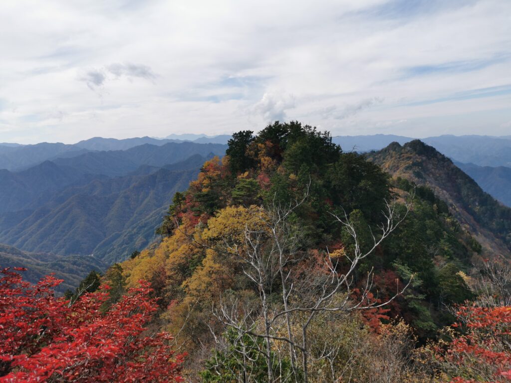 Més colors tardorencs a Ryokami