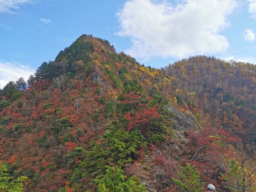 Colors tardorencs a Ryokami