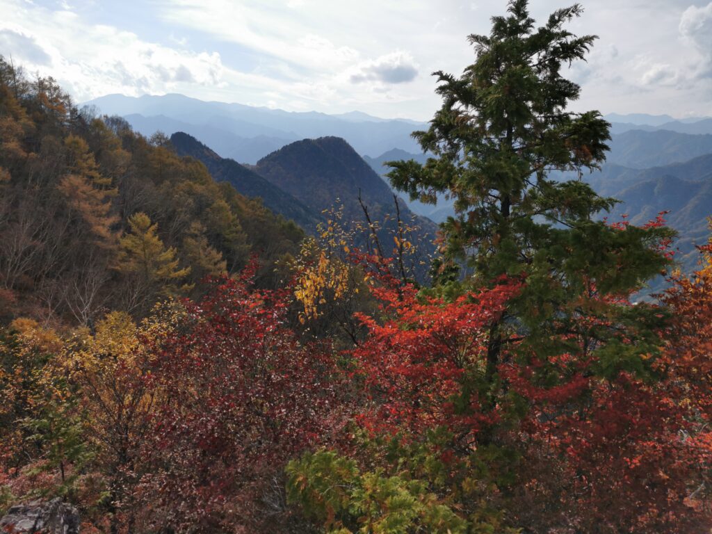 Vistes des de la cresta