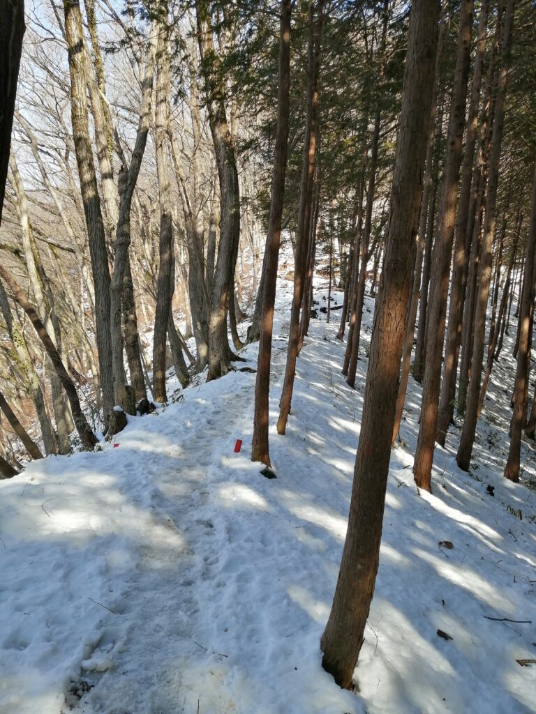 Camí de Jinba a Takao ple de neu