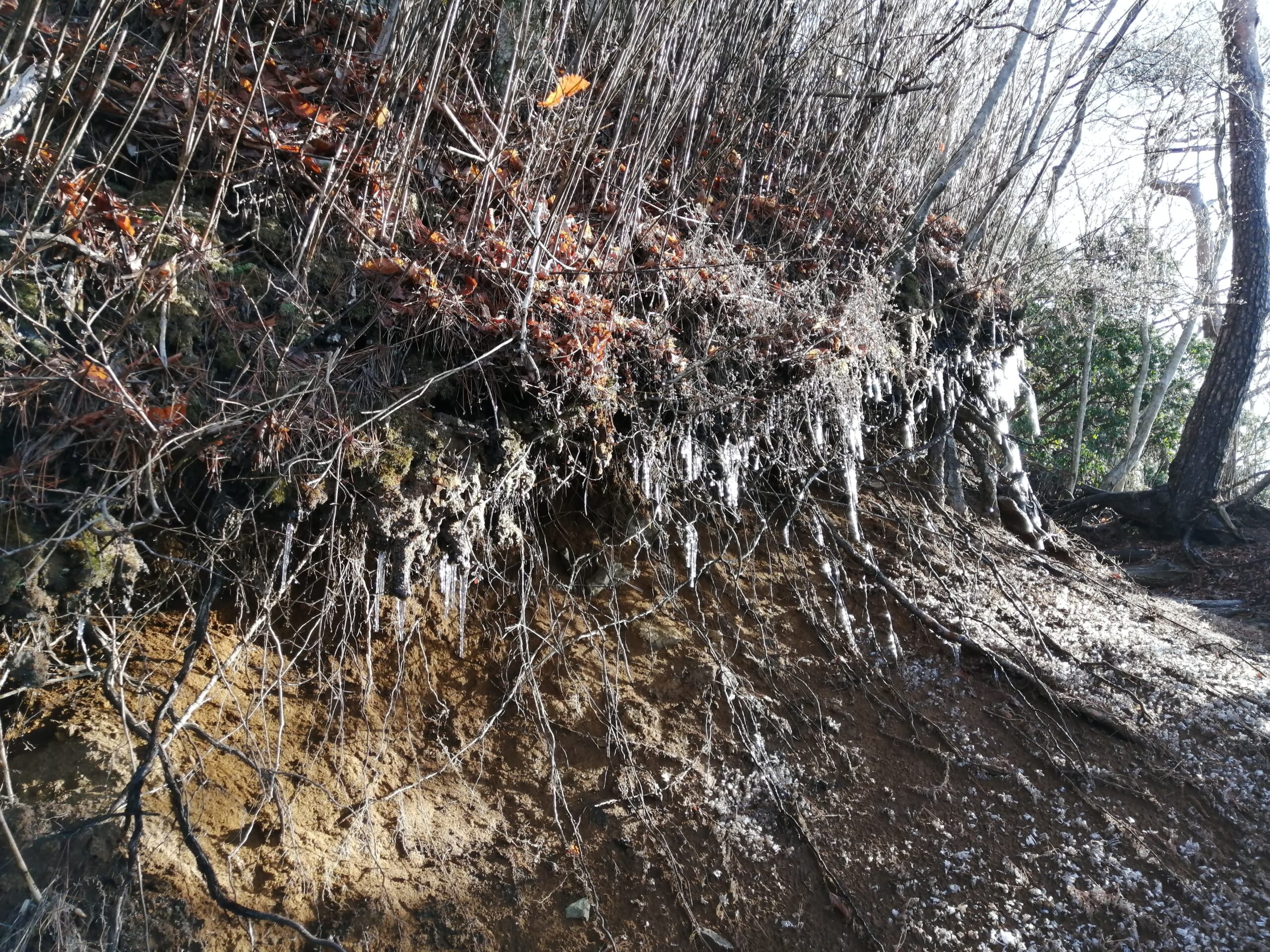 Estalactites al camí de Sobo