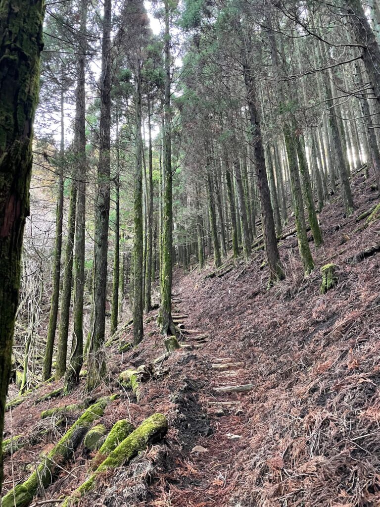 Camí de pujada a Sobo