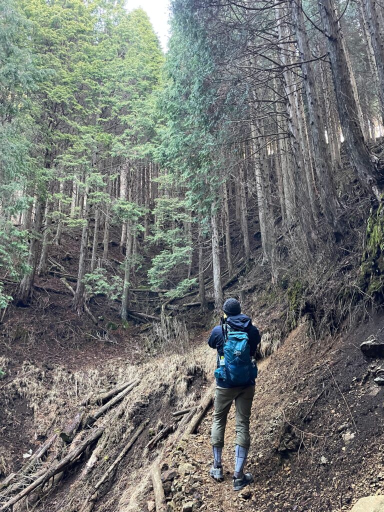 Una foto mentre pujava al mont Sobo
