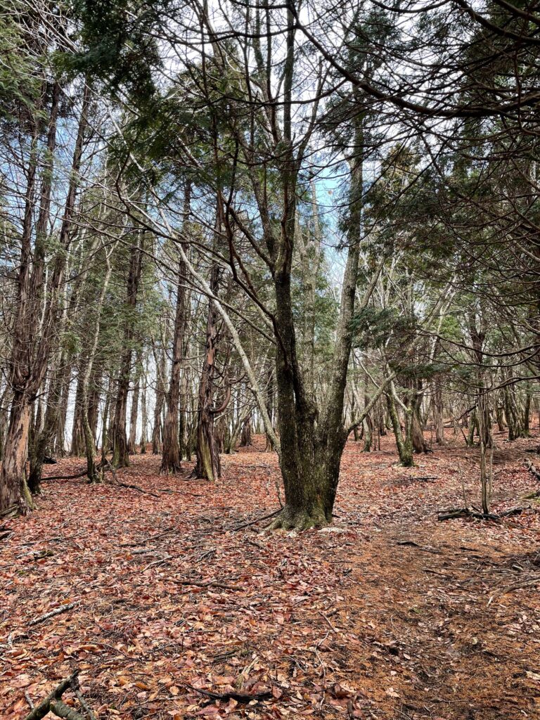 La cresta del mont Sobo