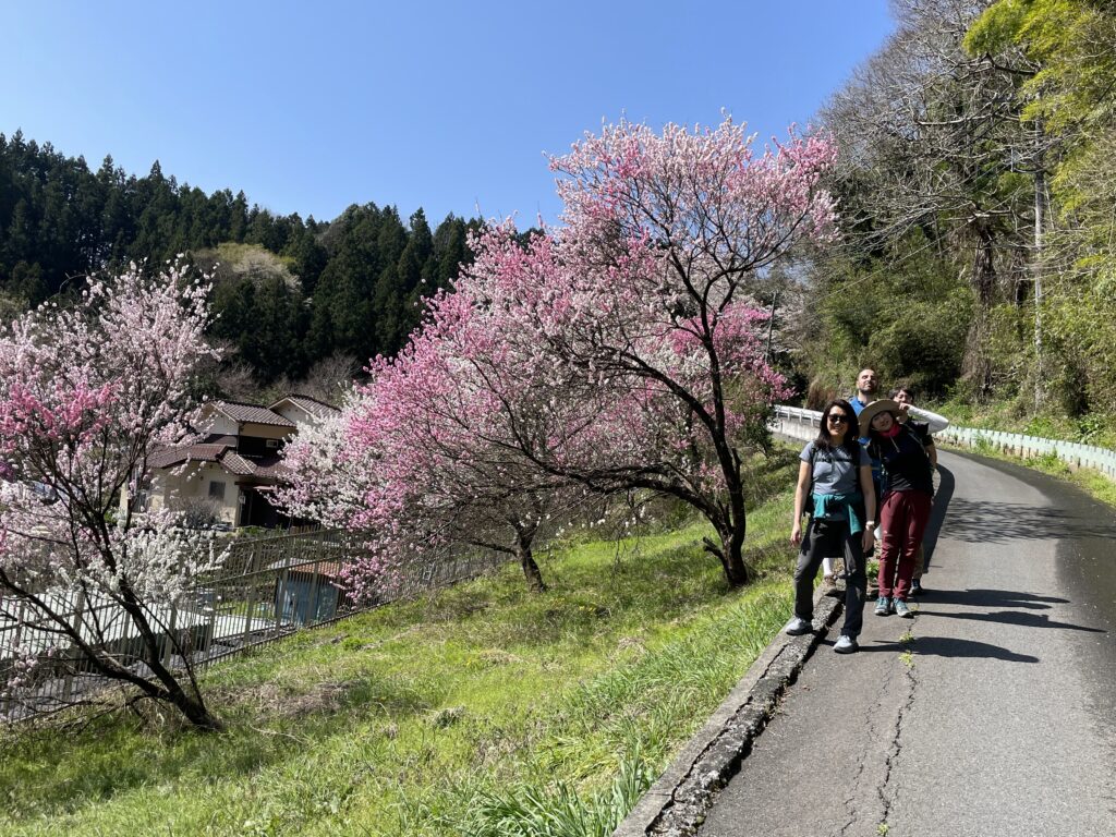 Sakura al començament del camí a Jinba, foto de grup