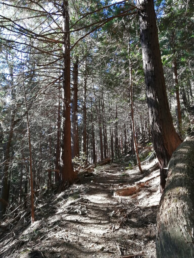 Camí d'ascens a Ougiyama