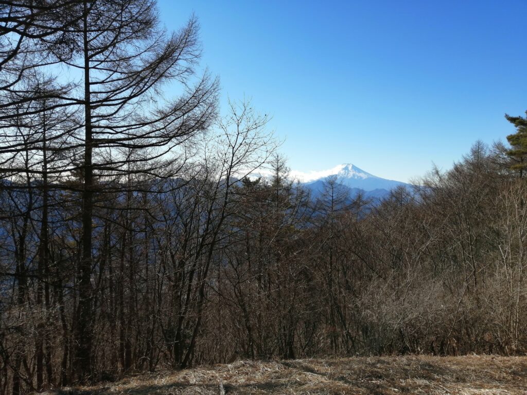 Vistes del Fuji des de Ougiyama