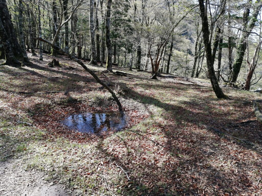 Gebrada al camí de Hakkyogatake