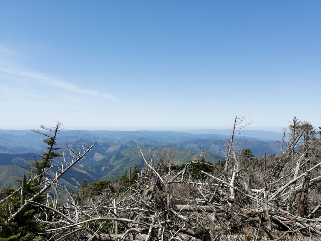 Arbres morts a prop de Hakkyogatake