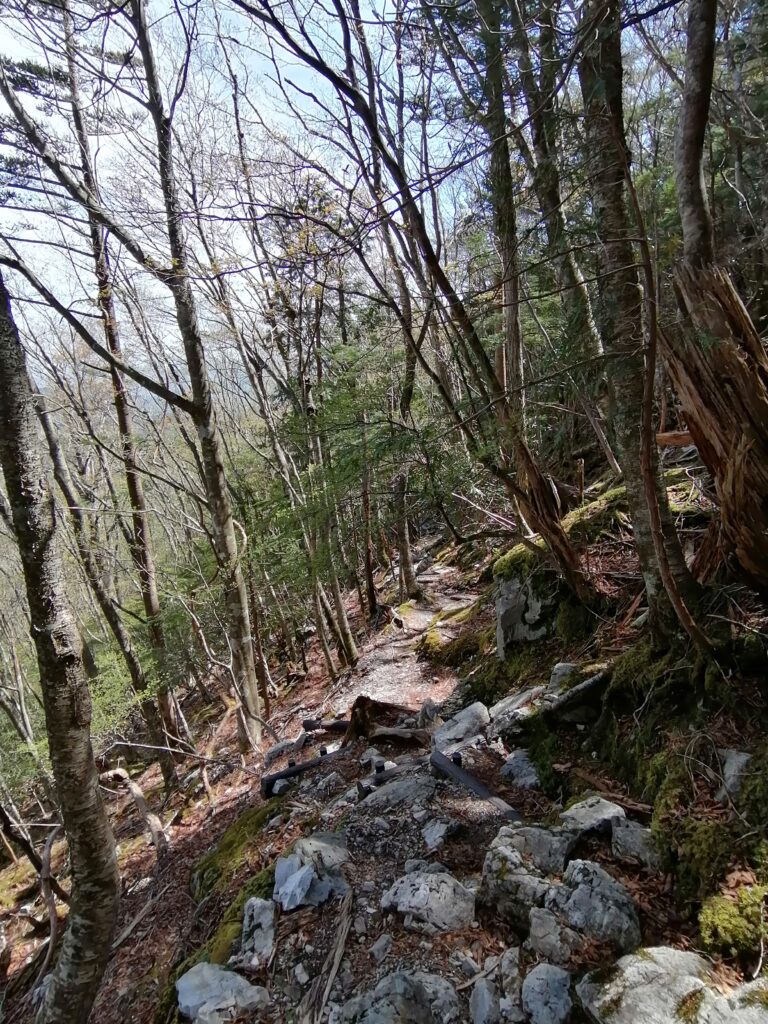 Roques al camí de Odaigahara a Awadani