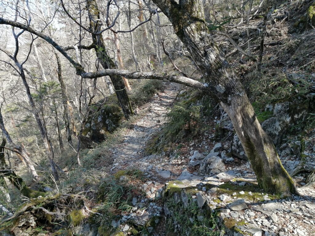 Camí de descens al riu, des del centre de visitants d'Odaigahara