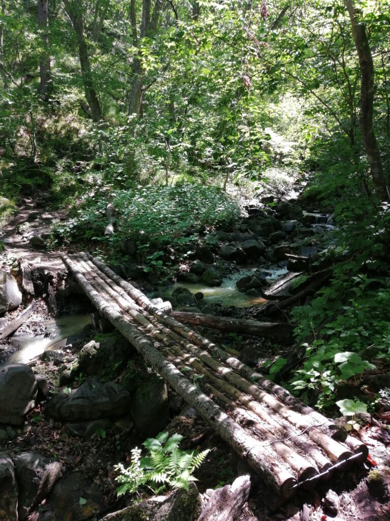 Riu al camí d'Asama