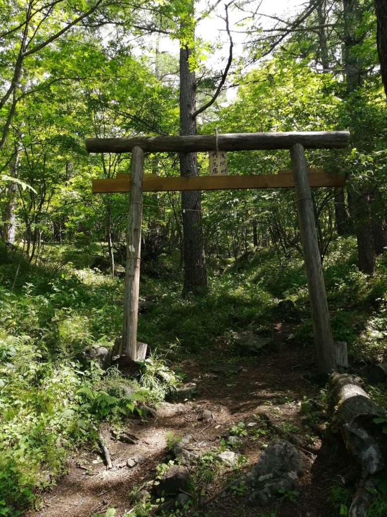 Porta Torii al camí d'Asama