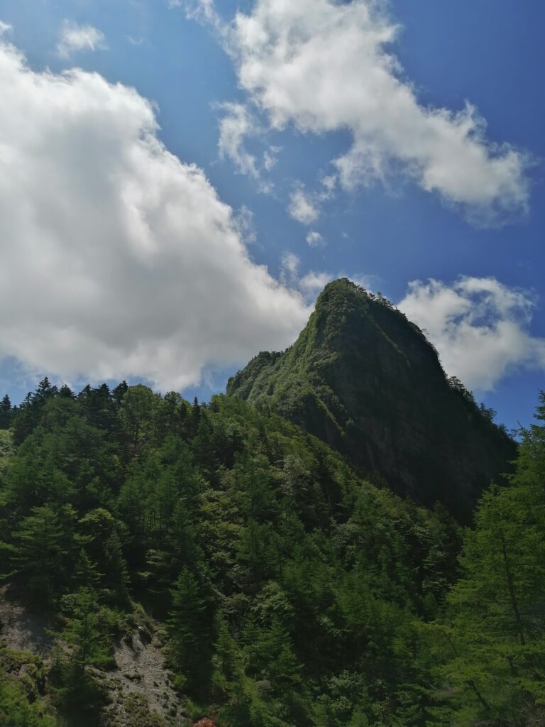 Una altre vista del tall a l'anell d'Asama