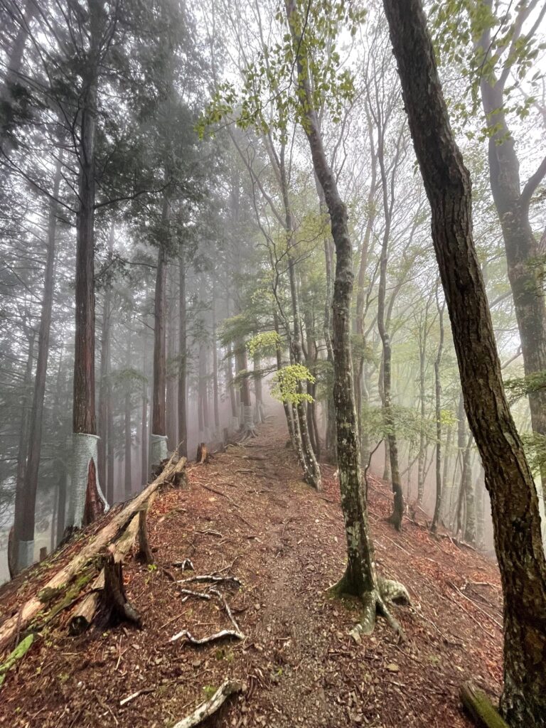 Camí emboirat a Hakkyogatake
