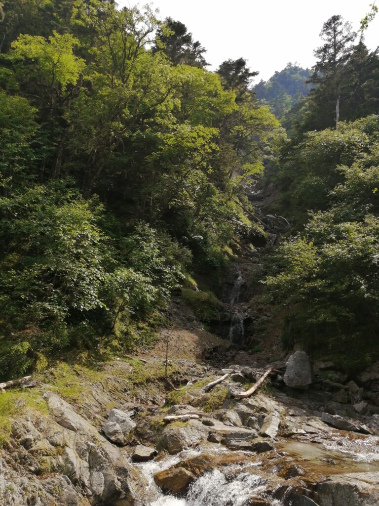 Bosc i riu a Hoo-san